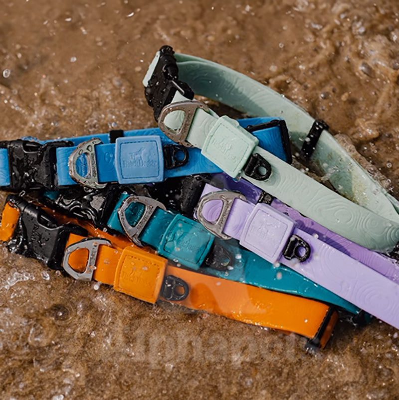 BlackDoggy 寵物外出壓花防水項圈 / 牽繩