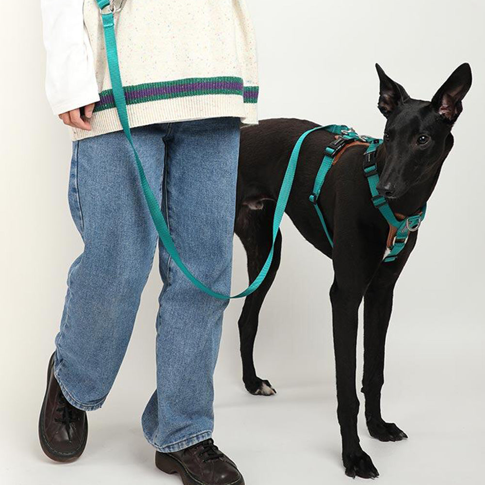 HIDREAM 寵物工字型胸背帶 5色