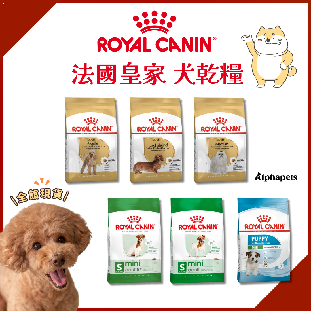 ROYALCANIN 法國皇家 犬乾糧