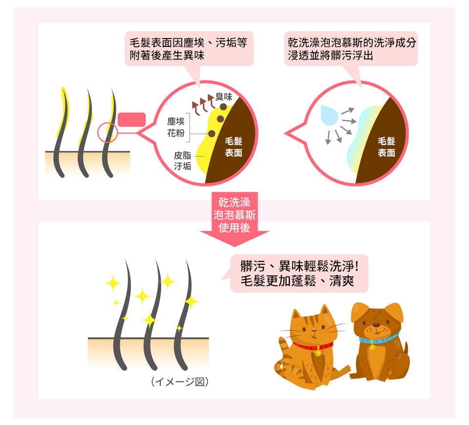 LION日本獅王 寵物乾洗劑 愛犬用 愛貓用 犬貓合一 200ml