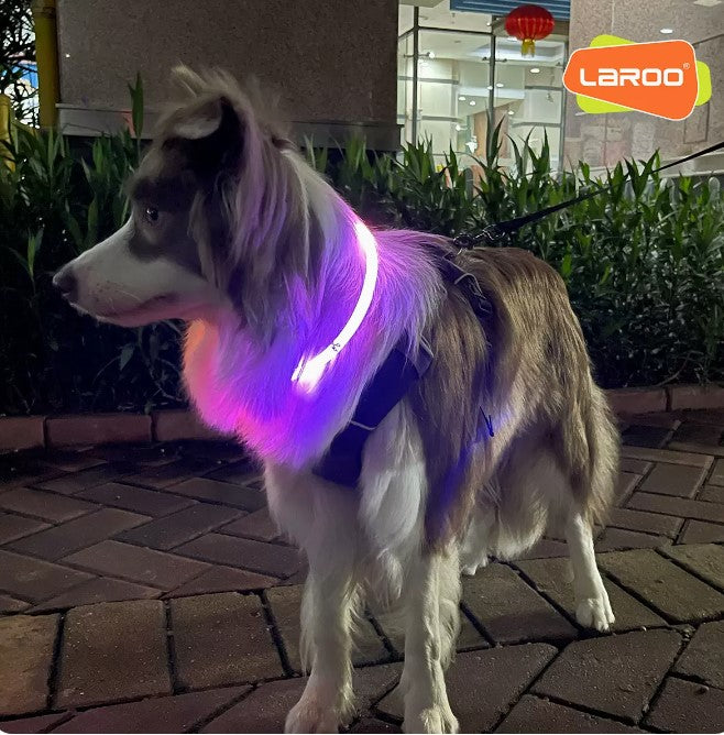 LaRoo萊諾 F20 發光狗項圈 LED項圈 45 / 65cm  USB充電