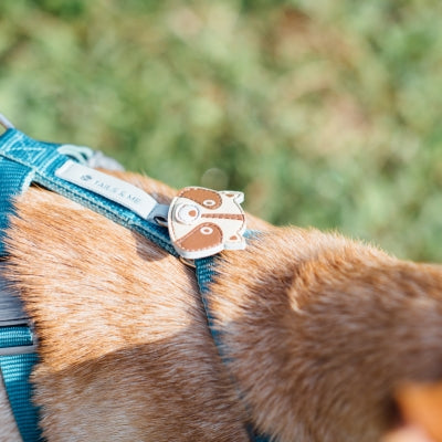 tails&me 尾巴與我 經典尼龍帶胸背帶 Nomo單色系列 寵物胸背帶