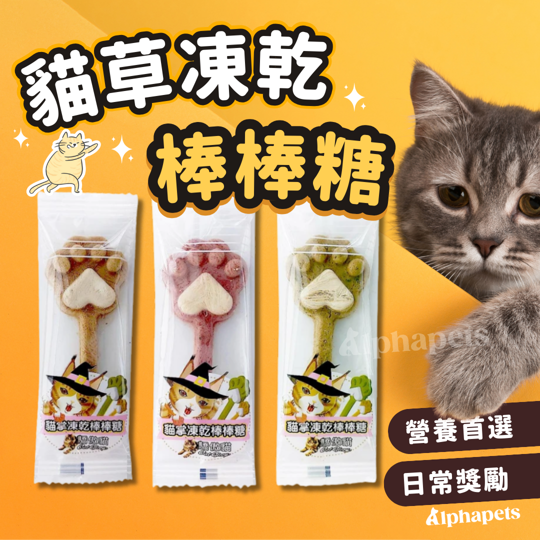 貓草凍乾棒棒糖 3種口味