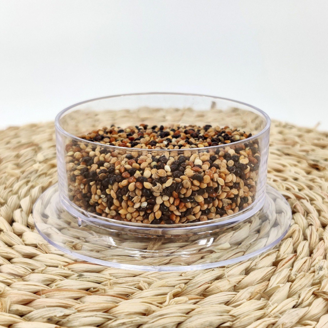 360度全透明倉鼠籠 倉鼠別墅 倉鼠壓克力籠 小寵物籠