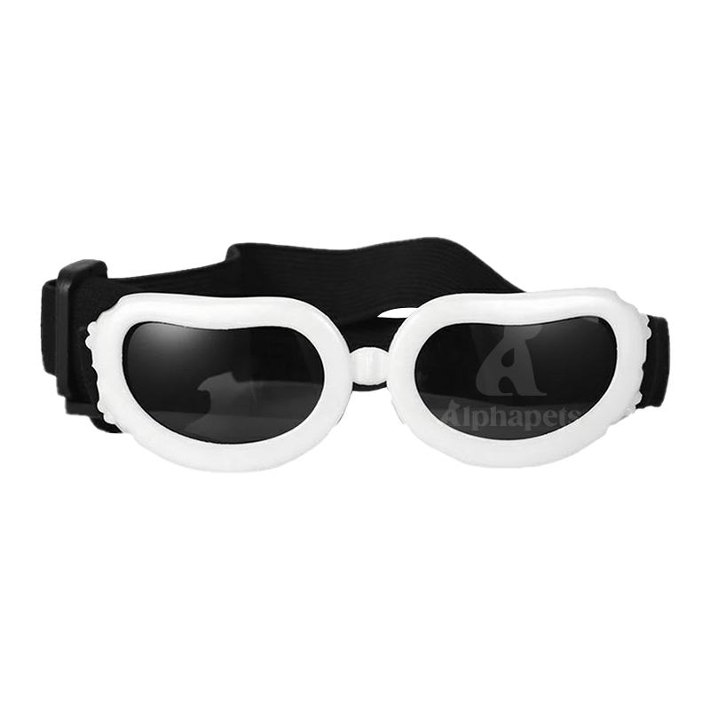 小型犬貓通用 寵物眼鏡 寵物眼睛防護 寵物護目鏡