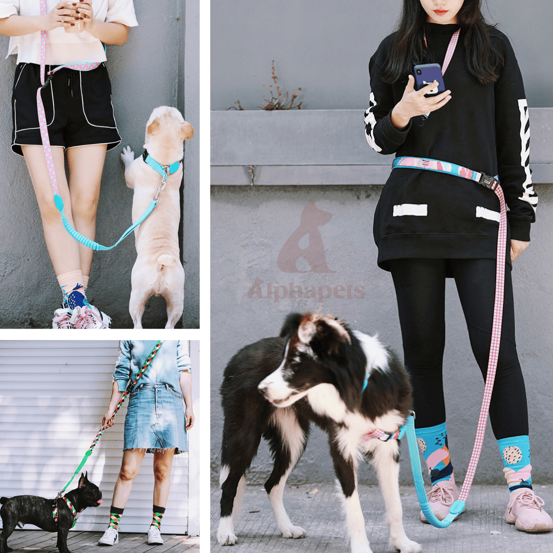 HiDREAM 繽紛PRO系列 X戰甲胸背帶 寵物胸背帶&牽繩 5款