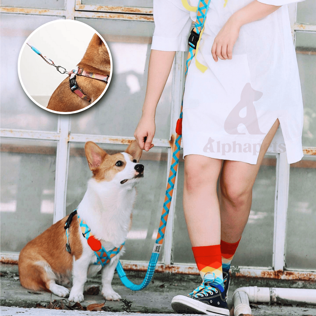 HiDREAM 繽紛PRO系列 X戰甲胸背帶 寵物胸背帶&牽繩 5款