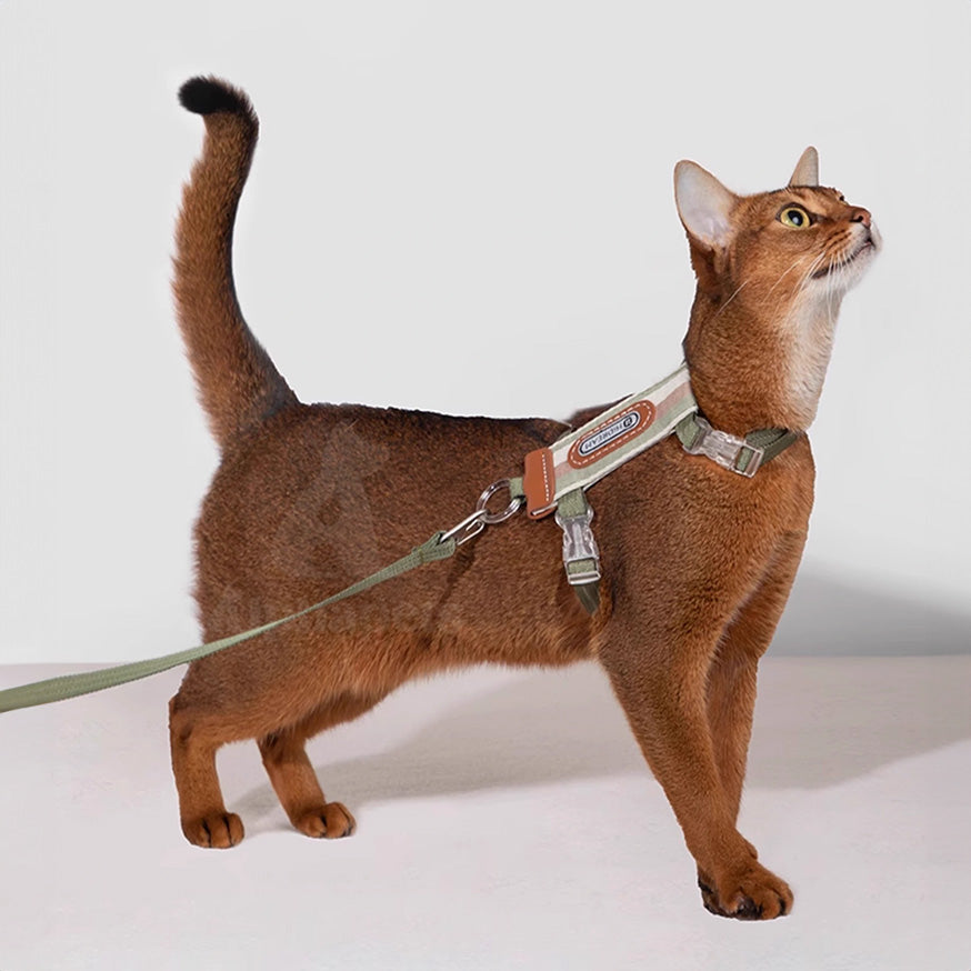 HiDREAM 貓咪條紋胸背牽繩套組 寵物牽繩 胸背帶