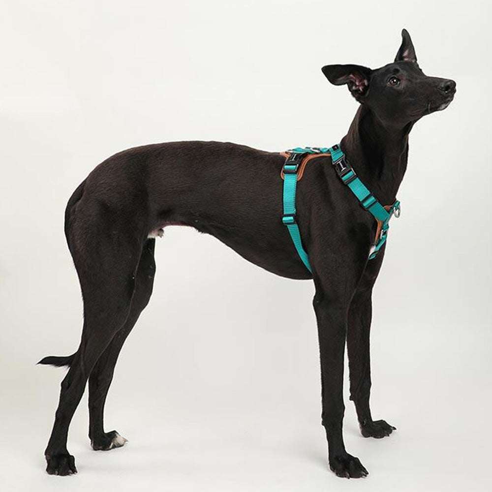 HIDREAM 寵物工字型胸背帶 5色