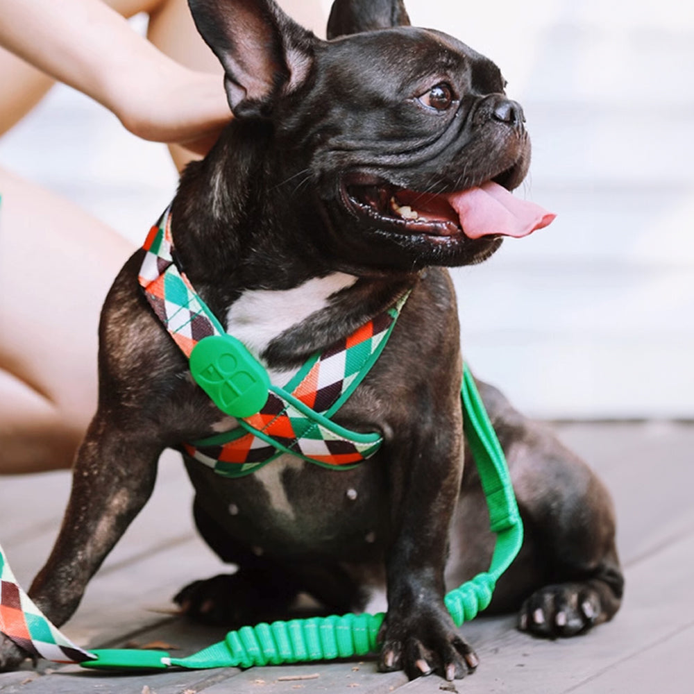 HiDREAM 繽紛PRO系列 X戰甲胸背帶 寵物胸背帶&牽繩 5款