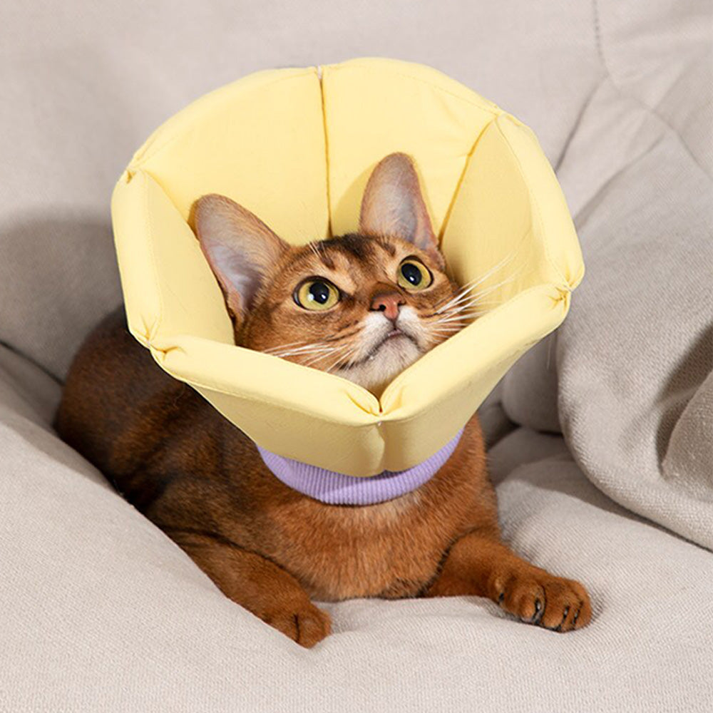 HiDREAM 海綿錐形伊麗莎白圈 防護頭套 寵物頭套 2色