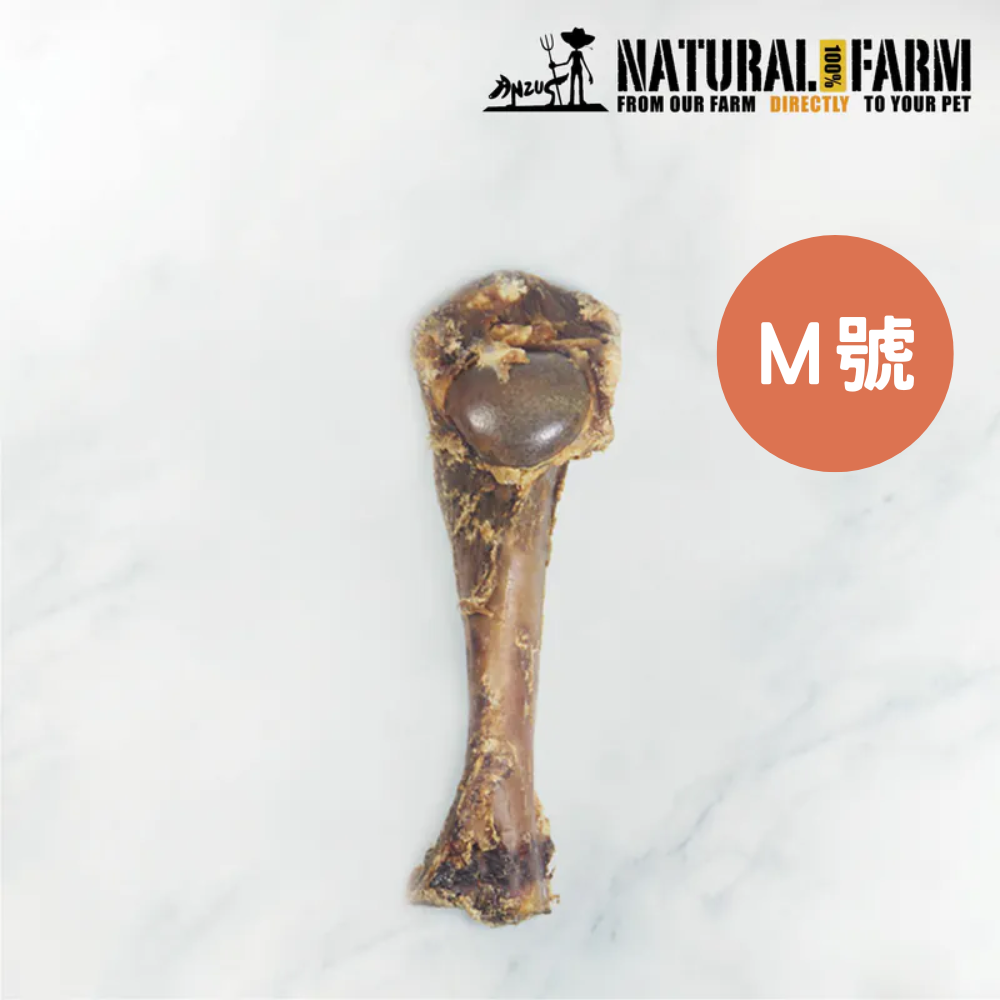NATURAL FARM 自然牧場 單支耐咬系列 鹿腿骨 單入 M號
