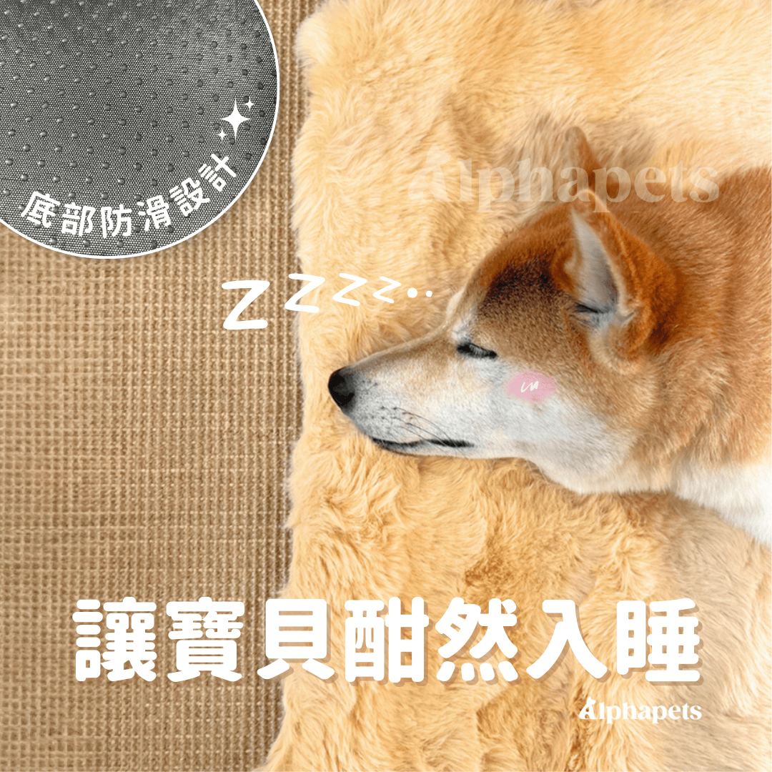 泡泡絨寵物暖墊 貓狗睡墊 多種尺寸