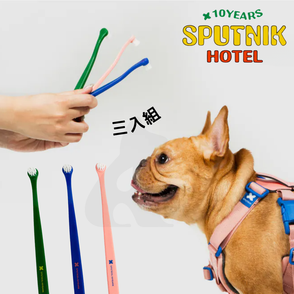 SPUTNIK 寵物牙刷(3入組) 貓刷牙 狗刷牙 寵物潔牙狗牙刷