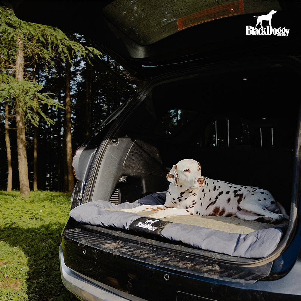 BlackDoggy 寵物戶外營地墊 防水抗汙 寵物睡墊 2色