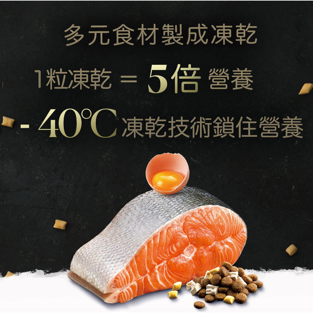 Tapazo 特百滋 凍乾雙饗宴 成幼貓 熟齡貓 低敏配方 乾糧 貓飼料 2磅 / 5磅