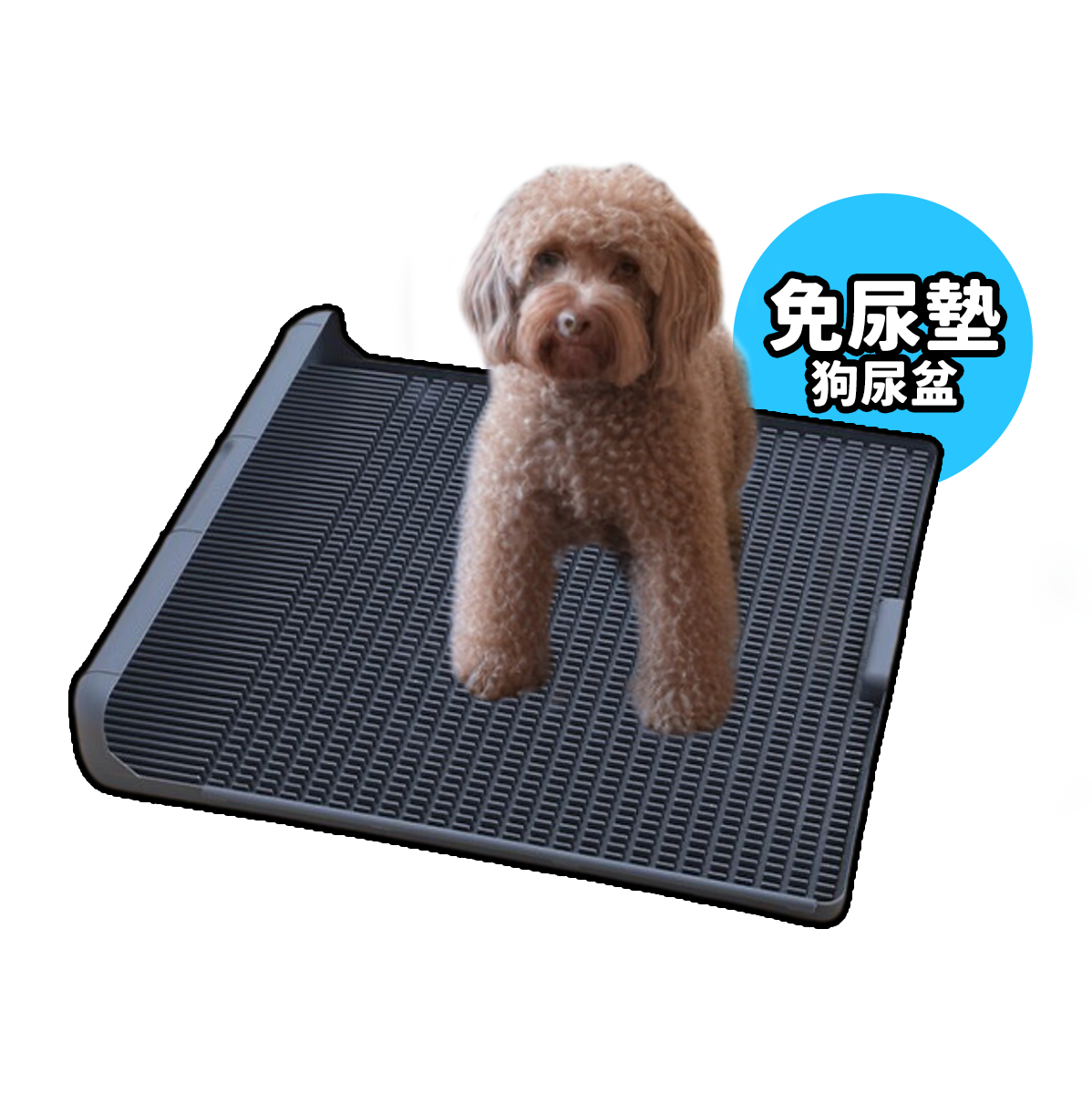 一體式狗尿墊 可重複利用 寵物尿盆 大中小型狗廁所 2色