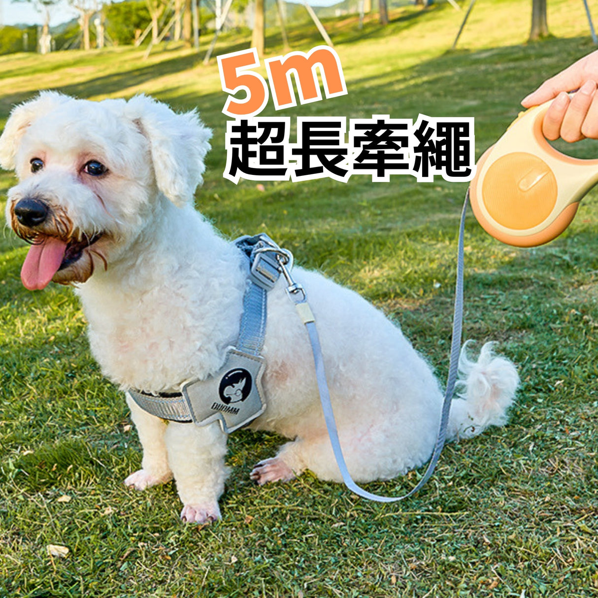 AIWO 艾窩 貝殼伸縮牽繩