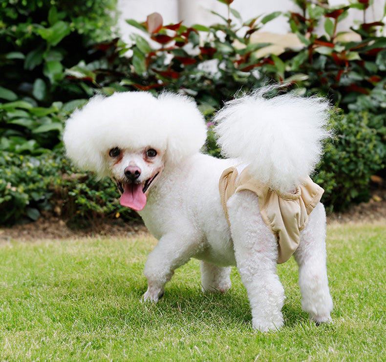 DogLemi 多樂米 寵物生理褲 尿布 母狗專用 寵物尿褲 可水洗 防漏尿