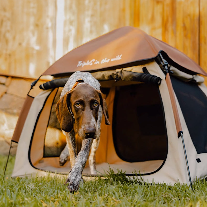 BlackDoggy 寵物戶外帳篷 防潑水 自動桿架 寵物窩