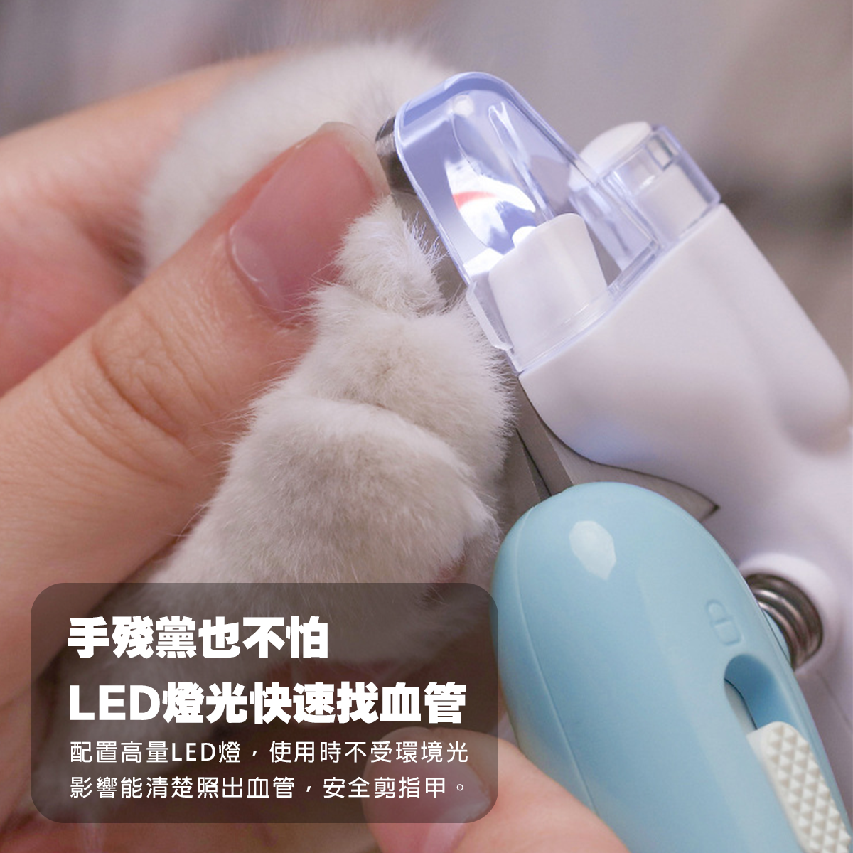 AIWO艾窩 LED發光小鯨魚指甲剪 狗狗指甲剪 安全指甲剪 發光寵物指甲剪 貓咪指甲剪