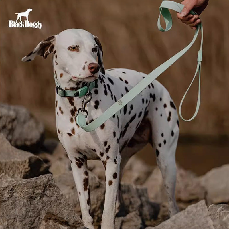 BlackDoggy 寵物外出壓花防水項圈 / 牽繩