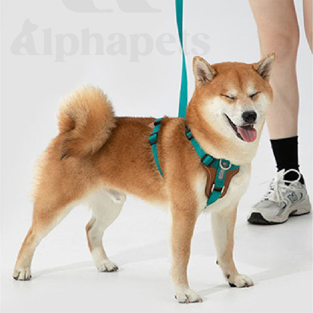 HIDREAM 多功能斜挎牽繩 寵物牽繩 5色