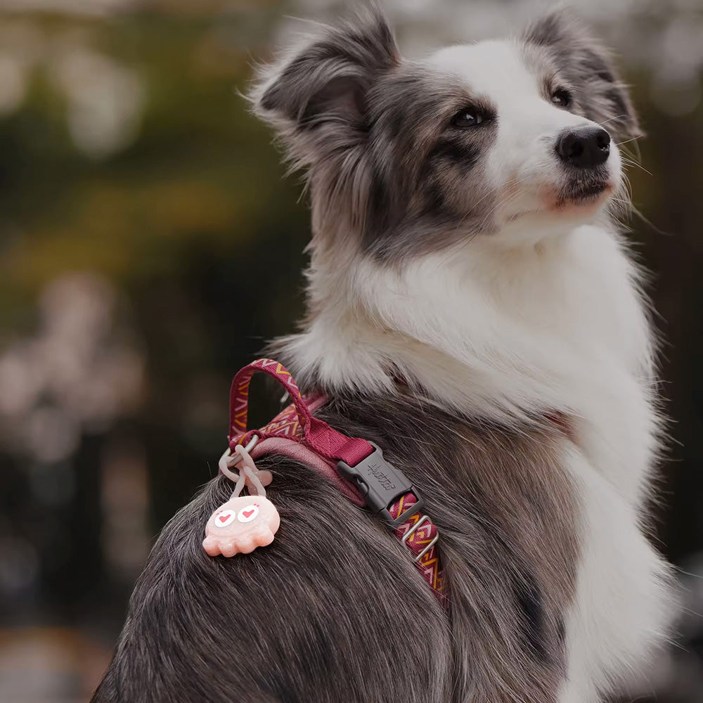 LaRoo 萊諾 糖果章魚LED發光吊墜 寵物項圈吊飾