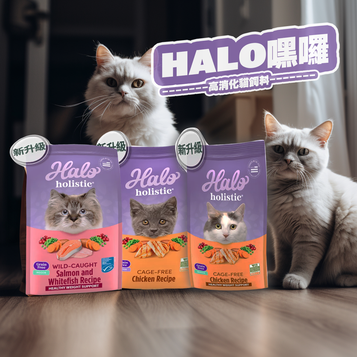 HALO嘿囉 無穀貓飼料 雞肉 鮭魚白魚 零肉粉 高消化率