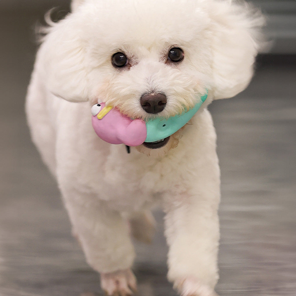 Q-MONSTER 泥塑家族系列 寵物啃咬發聲玩具 狗狗玩具 4款