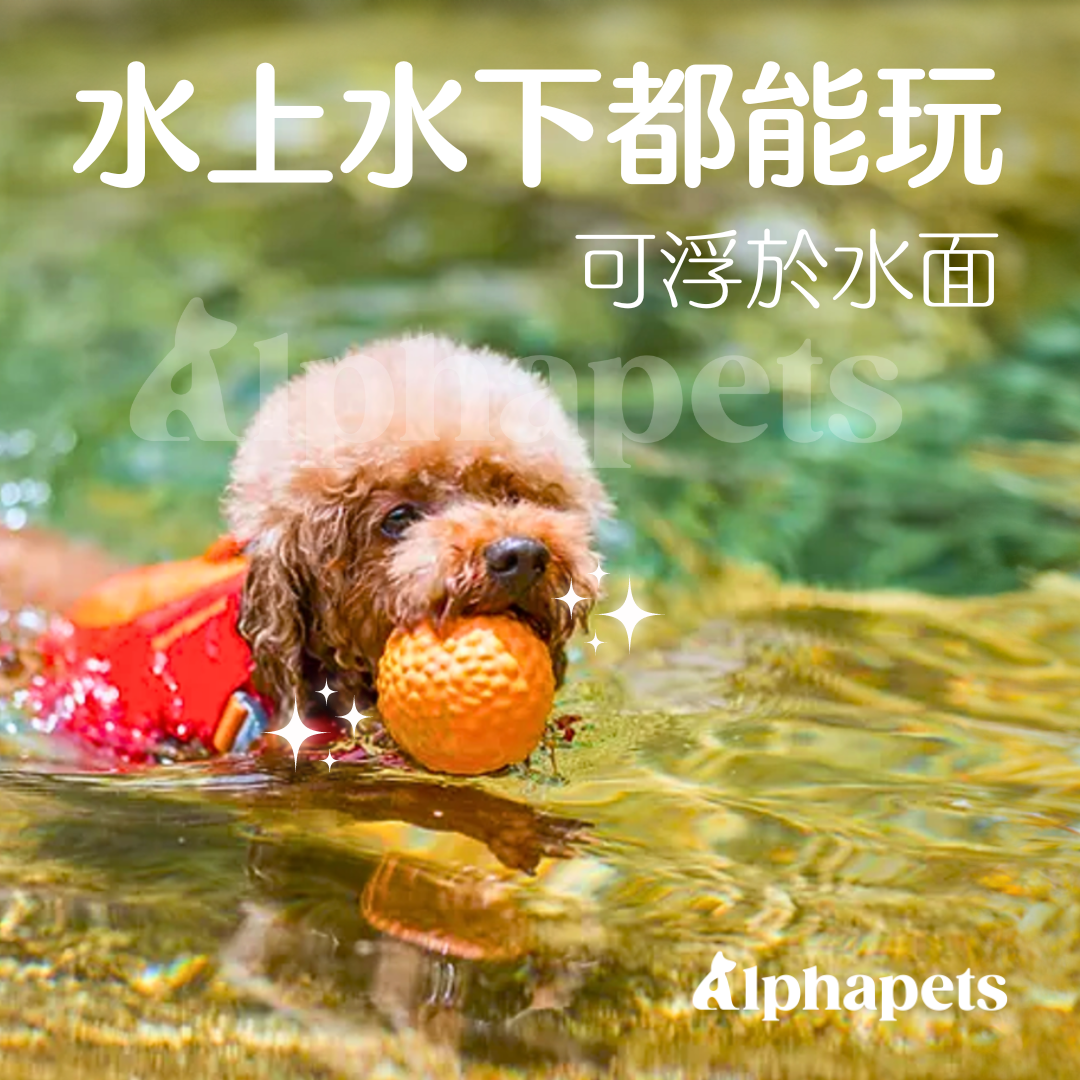 LaRoo 萊諾 假日系列 蹦蹦球 狗狗耐咬 彈力球玩具