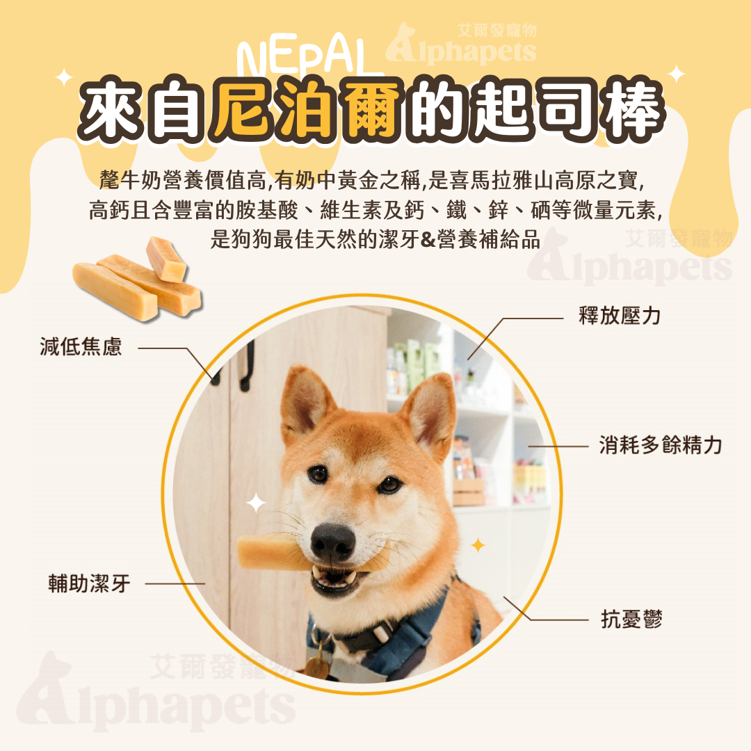 【全新包裝&口味】Snack Time點心時間 氂牛起司系列 氂牛棒 高鈣 純天然 氂牛起司棒 5種口味