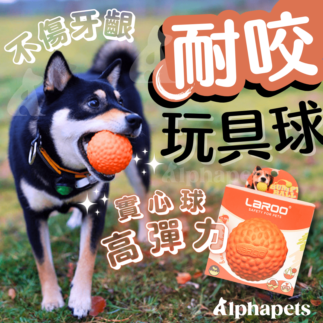 LaRoo 萊諾 假日系列 蹦蹦球 狗狗耐咬 彈力球玩具