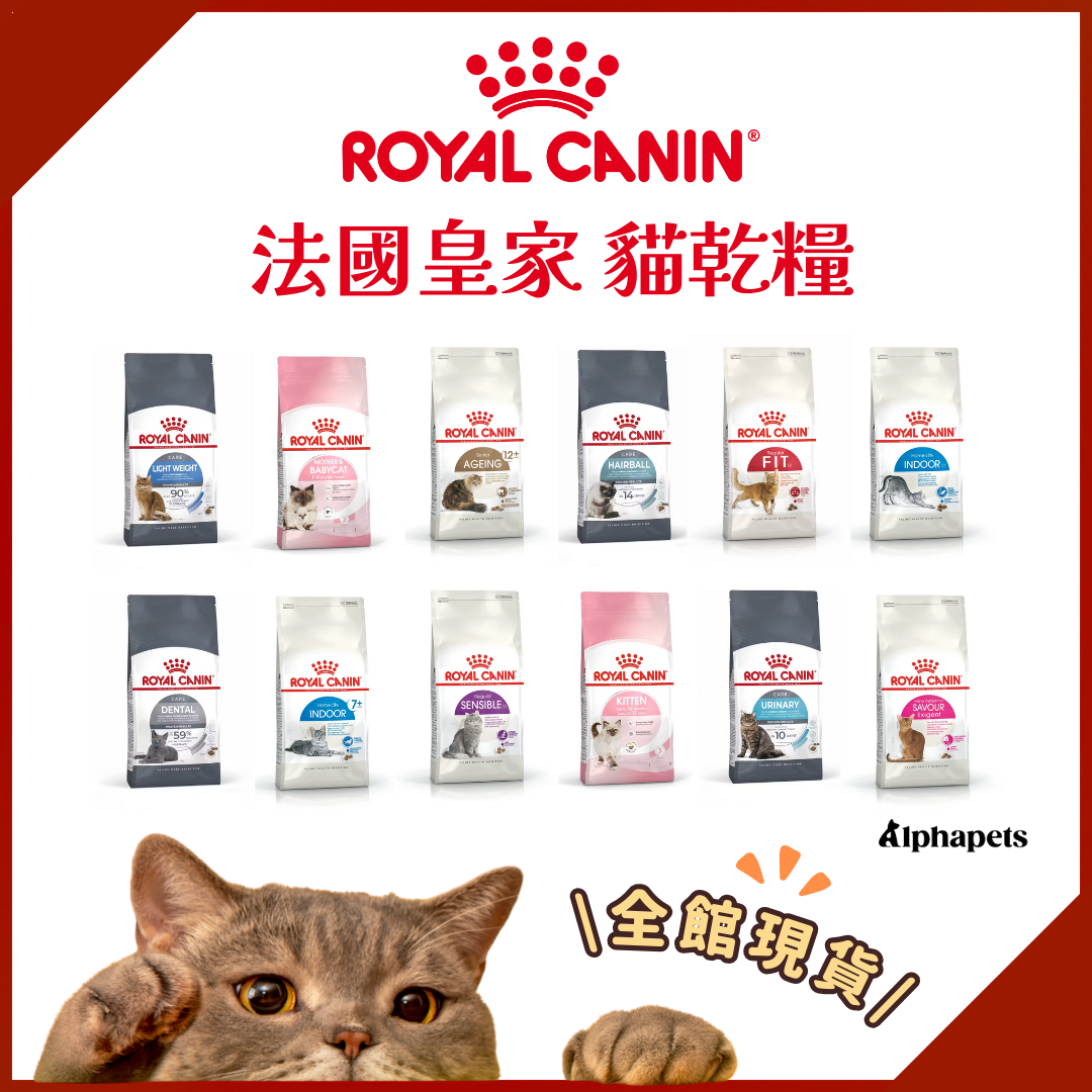 ROYALCANIN 法國皇家 貓乾糧