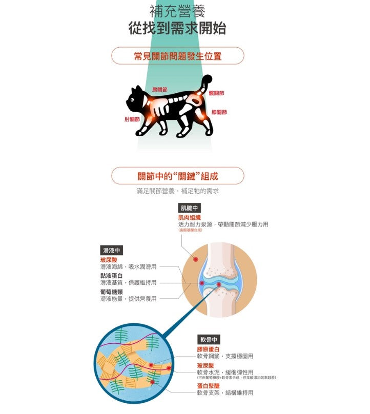 Moreson木入森 貓咪有關膝 寵物關節保健 30入 / 60入