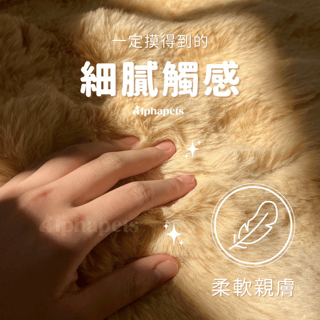 泡泡絨寵物暖墊 貓狗睡墊 多種尺寸
