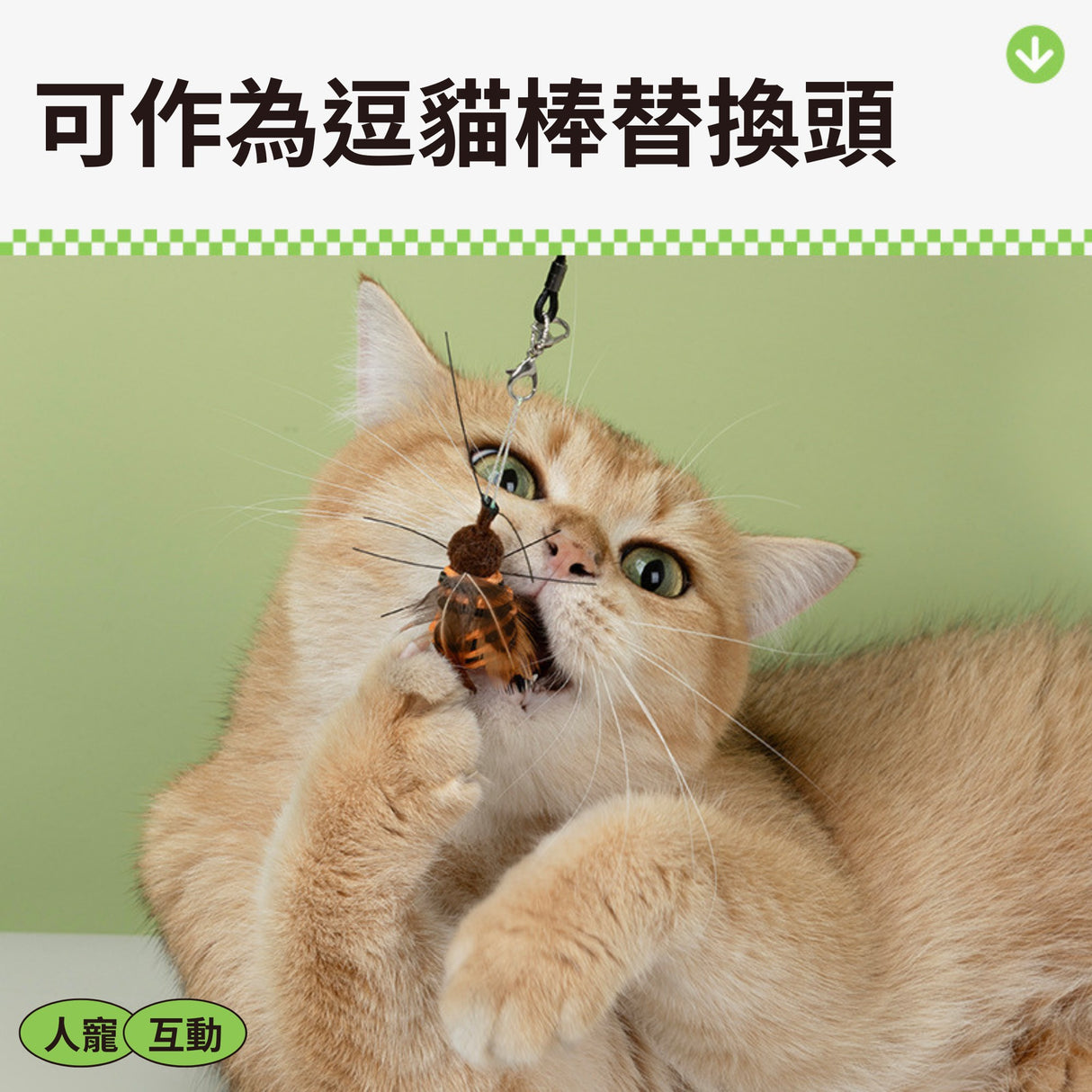 QMONSTER真皮貓玩具系列 & 仿真小昆蟲系列