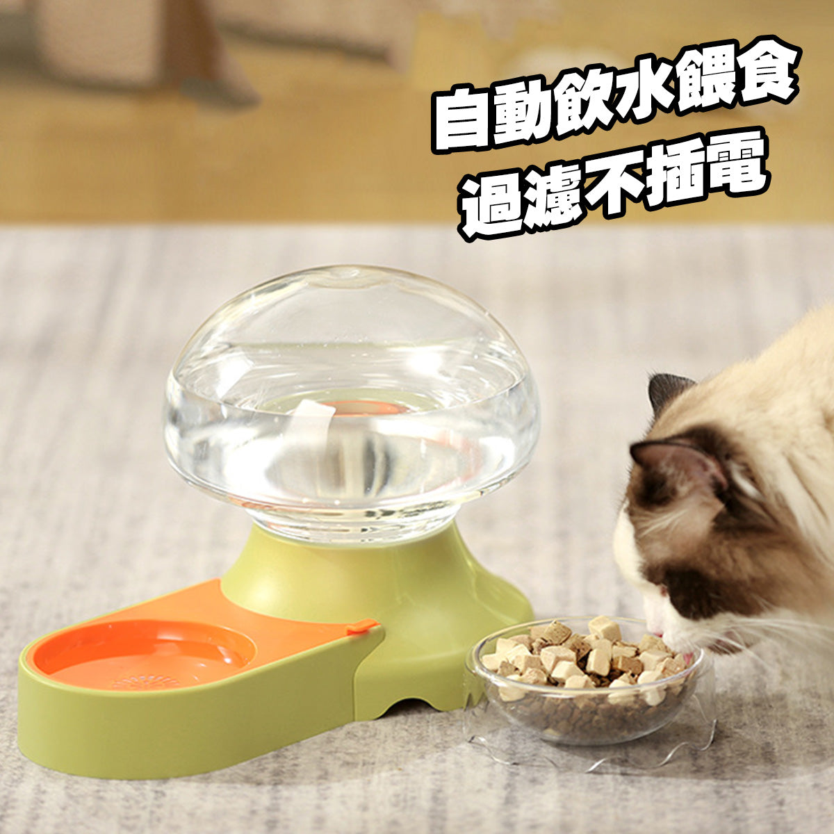 AIWO艾窩 水母飲水餵食兩用碗 寵物飲水器 寵物碗