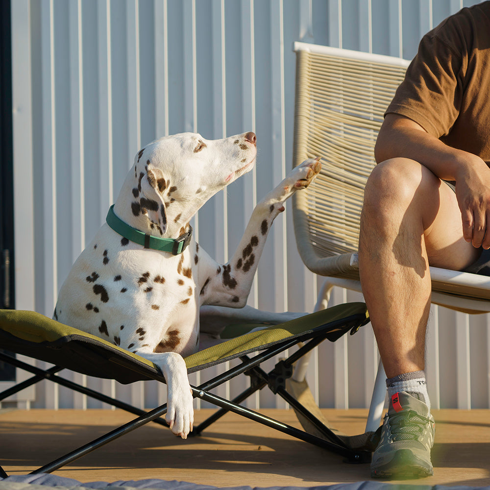 BlackDoggy 寵物戶外防潑水摺疊行軍床 / 專用睡墊 寵物床