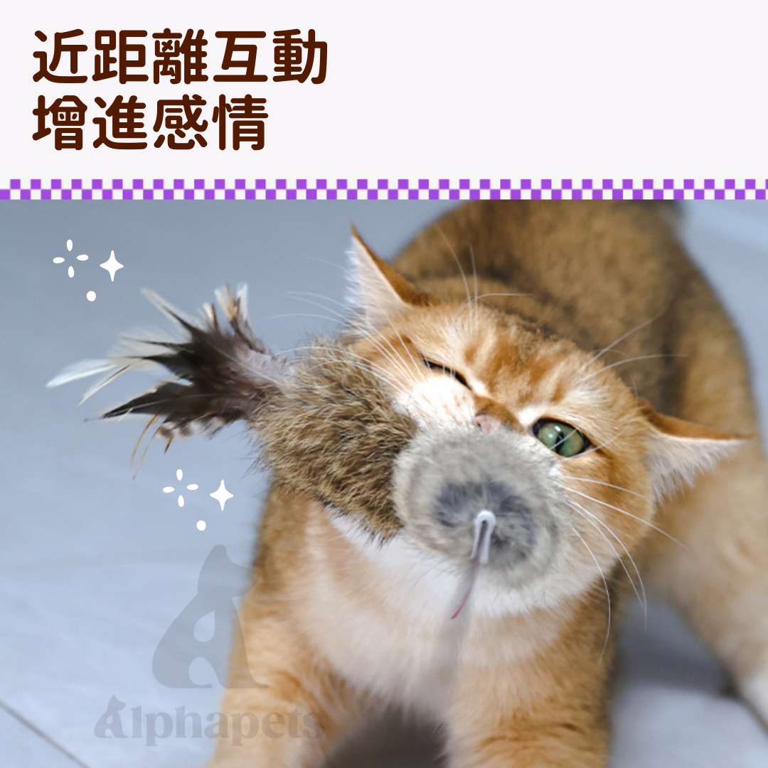 Q-MONSTER 真皮逗貓棒