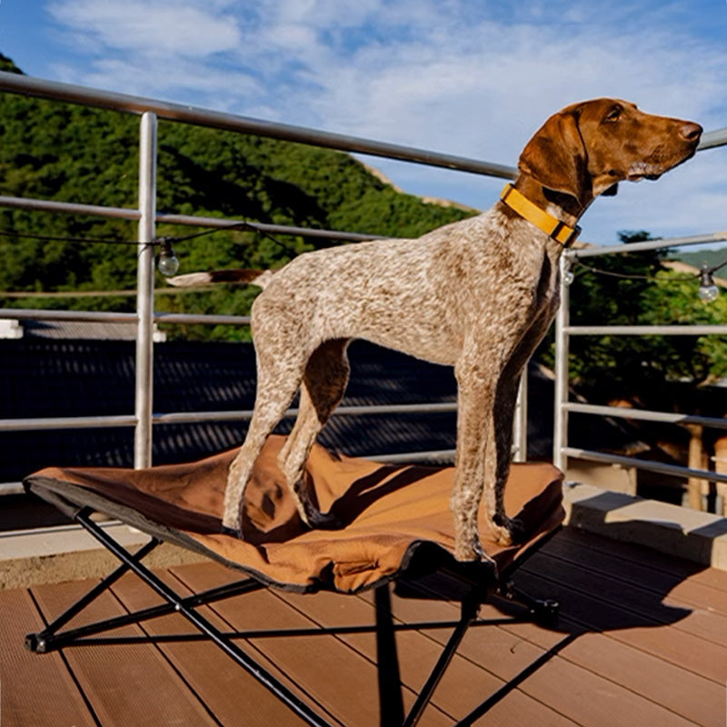 BlackDoggy 寵物戶外防潑水摺疊行軍床 / 專用睡墊 寵物床