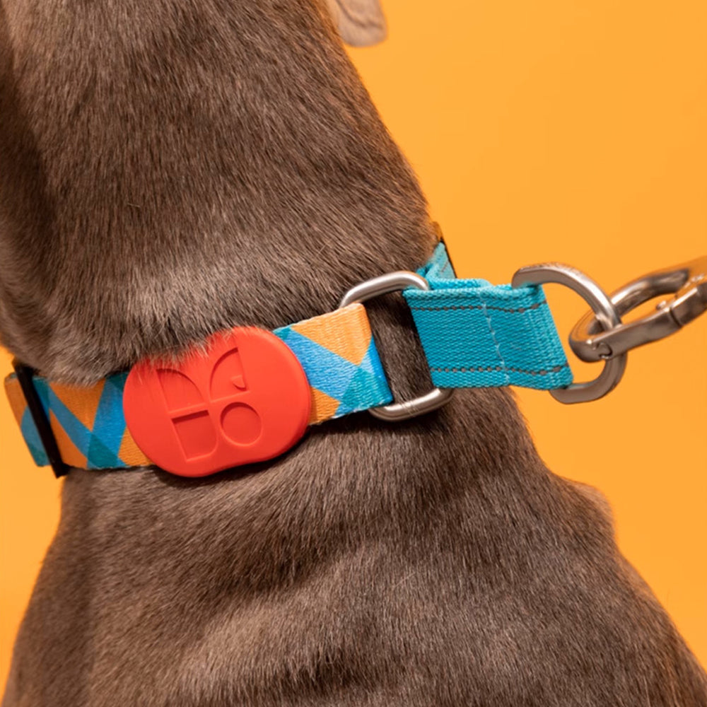 HiDREAM 繽紛PRO系列 防爆冲項圈 寵物項圈 5款