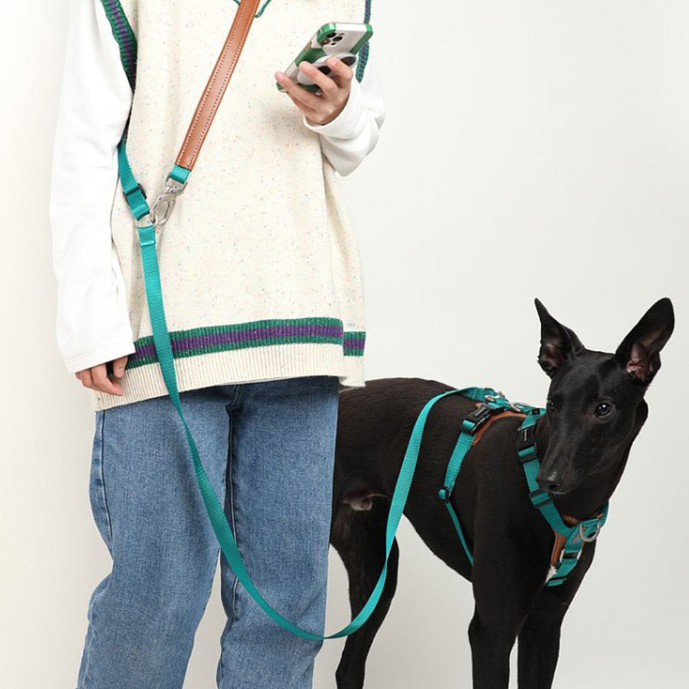 HIDREAM 多功能斜挎牽繩 寵物牽繩 5色