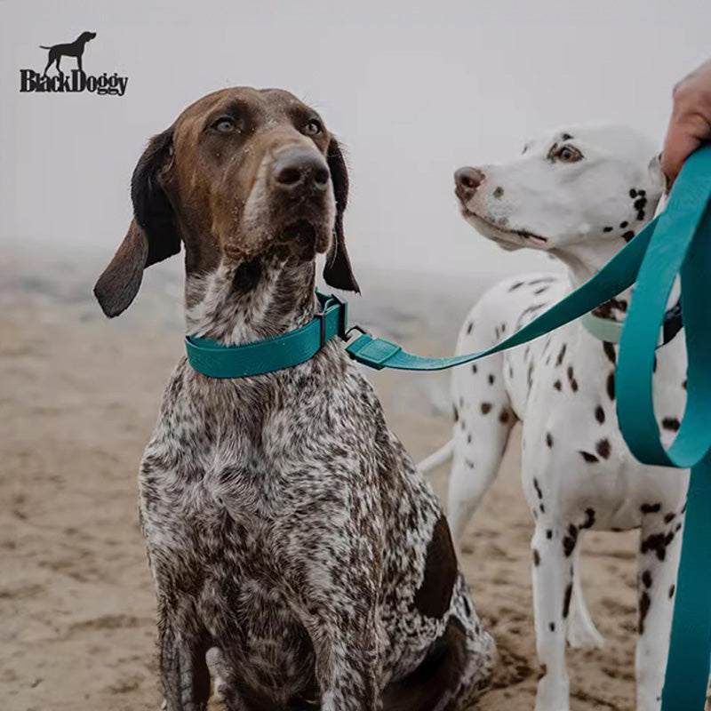 BlackDoggy 寵物外出壓花防水項圈 / 牽繩