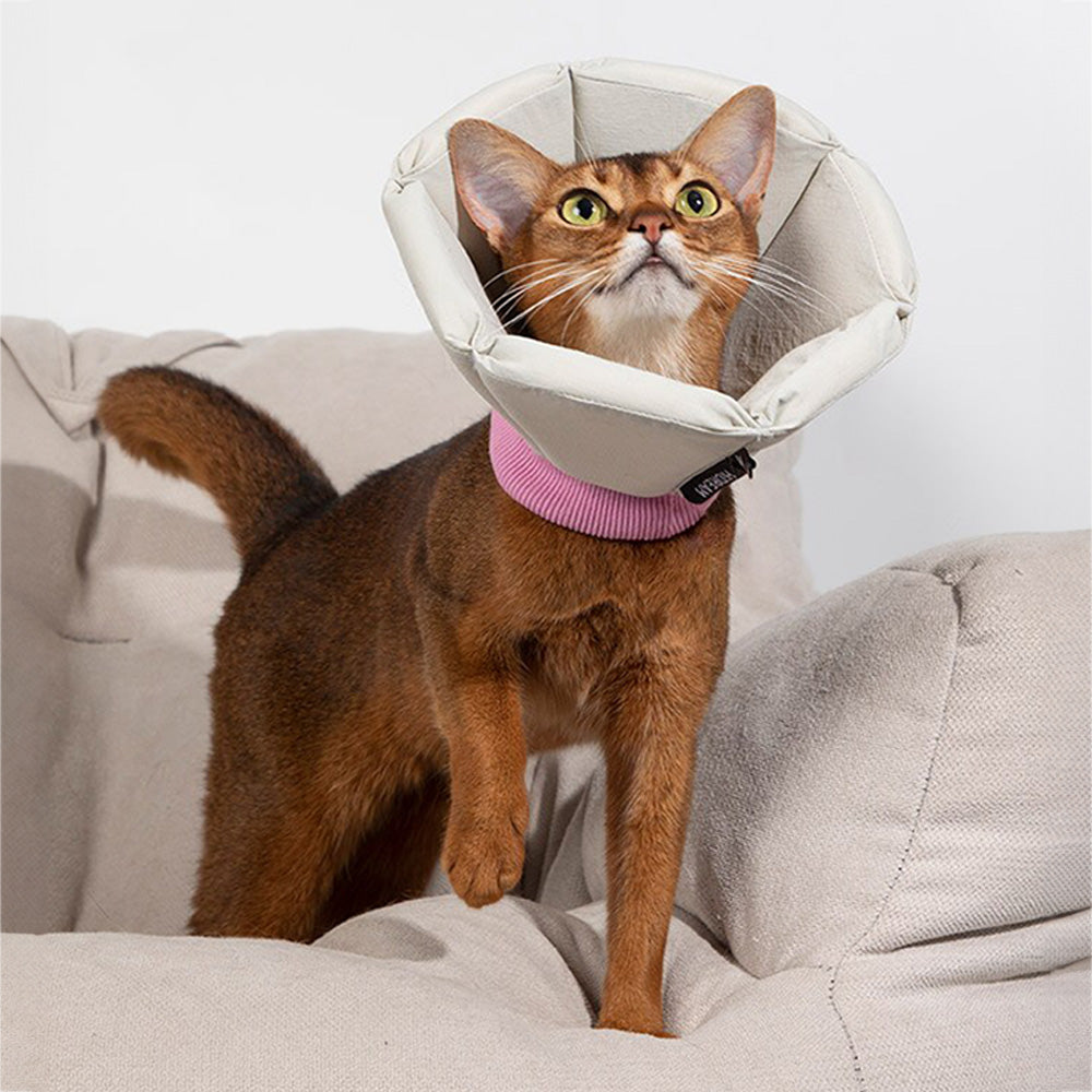 HiDREAM 海綿錐形伊麗莎白圈 防護頭套 寵物頭套 2色