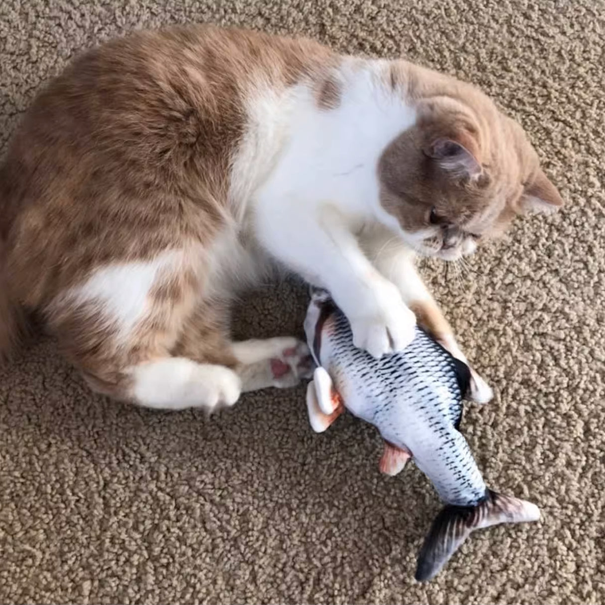 貓薄荷仿真電動魚玩具 4種魚 USB充電