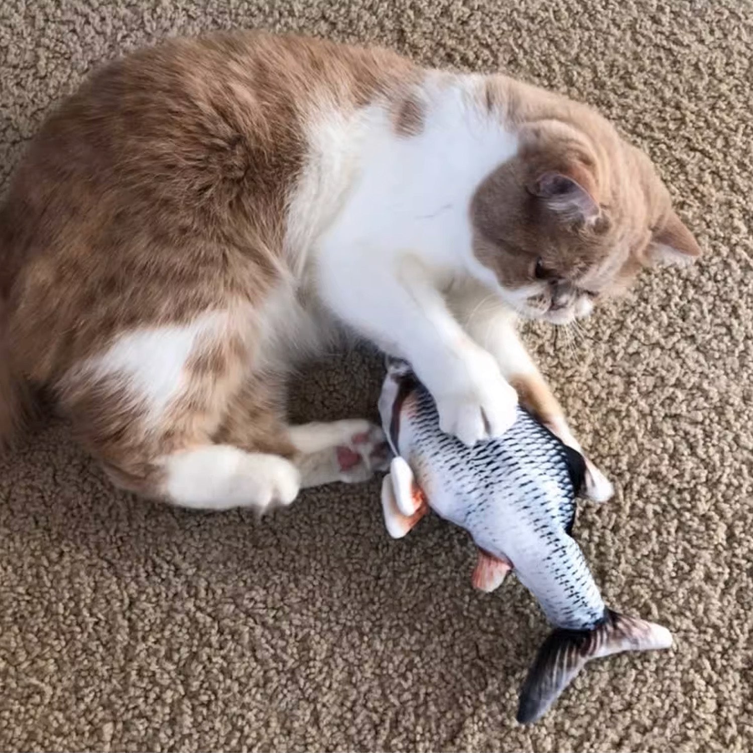 貓薄荷仿真電動魚玩具 4種魚 USB充電