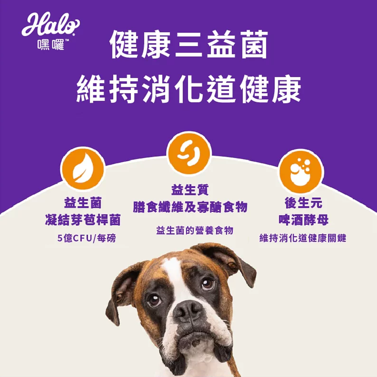 HALO嘿囉 無穀貓飼料 雞肉 鮭魚白魚 零肉粉 高消化率