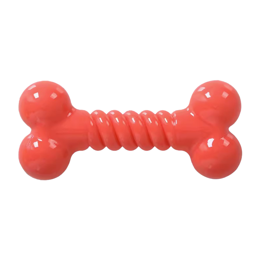 Q-MONSTER 糖果色骨頭 耐咬玩具 狗玩具 5色