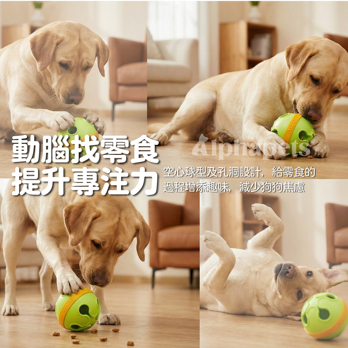 AIWO艾窩 三葉漏食球(大)